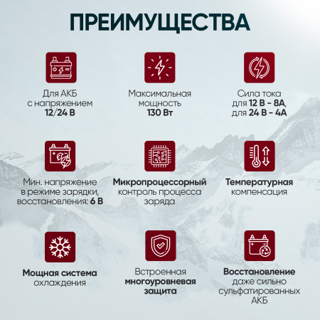 IC-CH102 Импульсное зарядное устройство 12/24В с функцией восстановления iCartool IC-CH102