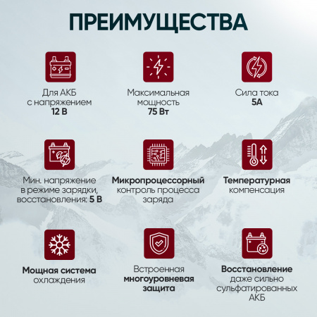 IC-CH101 Импульсное зарядное устройство 12В с функцией восстановления iCartool IC-CH101