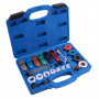 CT-3002 Набор съемников для шлангов Car-Tool CT-3002